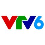 Vietnam Television VTV6