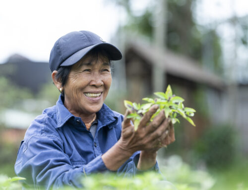 Inclusive Waste Management Da Nang (IWM)